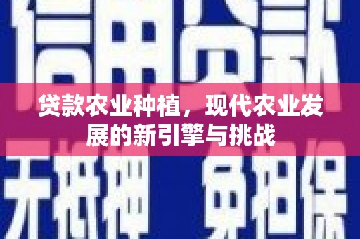 虾峙贷款农业种植，现代农业发展的新引擎与挑战