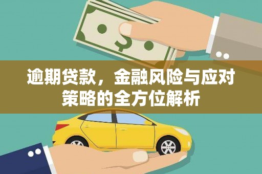 虾峙逾期贷款，金融风险与应对策略的全方位解析