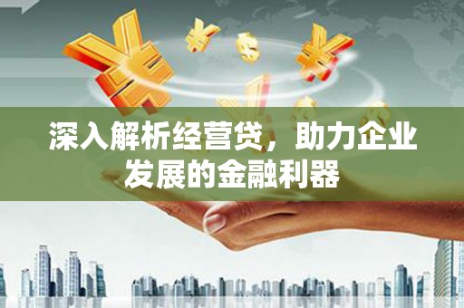 虾峙深入解析经营贷，助力企业发展的金融利器