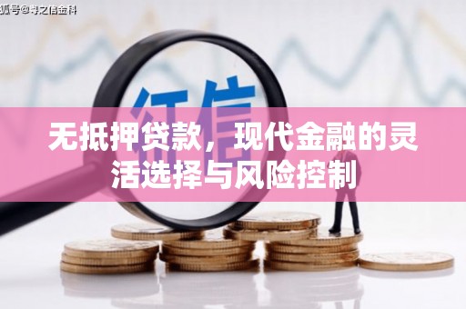 虾峙无抵押贷款，现代金融的灵活选择与风险控制