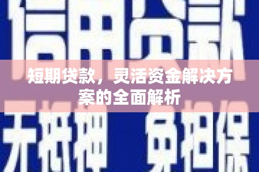 虾峙短期贷款，灵活资金解决方案的全面解析