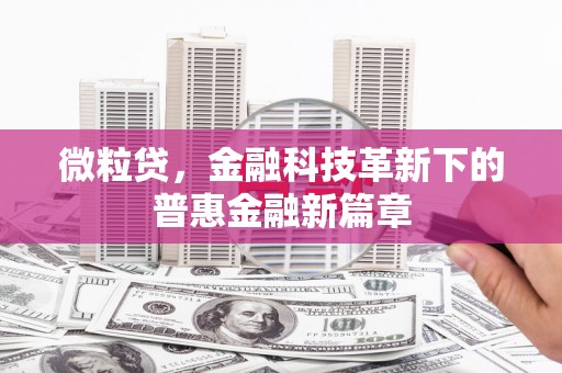 虾峙微粒贷，金融科技革新下的普惠金融新篇章