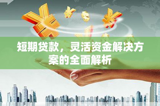 虾峙短期贷款，灵活资金解决方案的全面解析