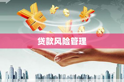 虾峙贷款风险管理