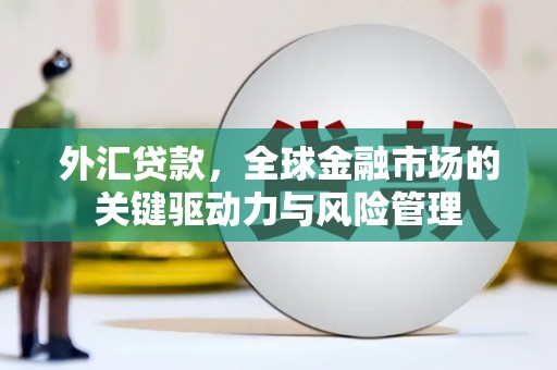 虾峙外汇贷款，全球金融市场的关键驱动力与风险管理