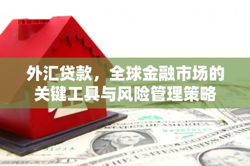 虾峙外汇贷款，全球金融市场的关键工具与风险管理策略