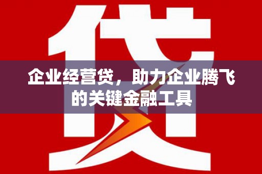 虾峙企业经营贷，助力企业腾飞的关键金融工具