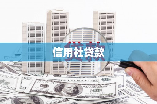 虾峙信用社贷款