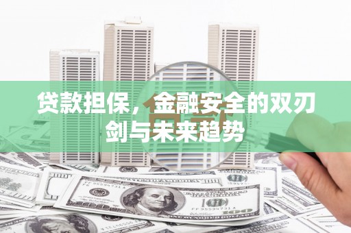 虾峙贷款担保，金融安全的双刃剑与未来趋势