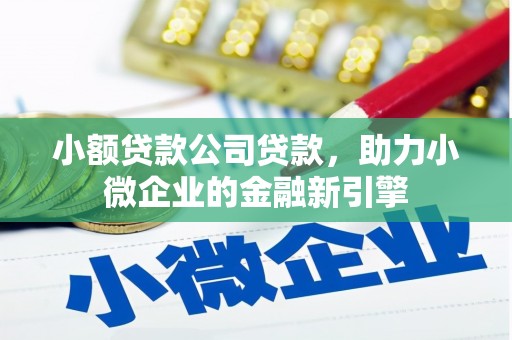 虾峙小额贷款公司贷款，助力小微企业的金融新引擎