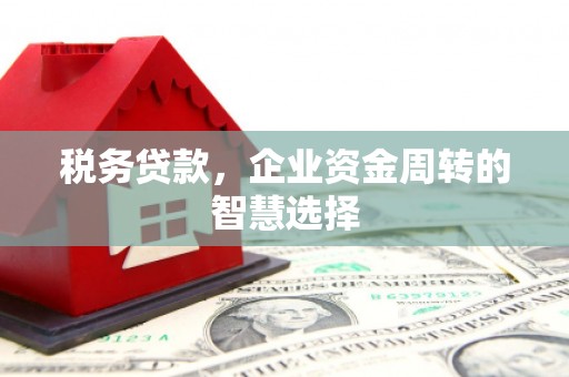 虾峙税务贷款，企业资金周转的智慧选择