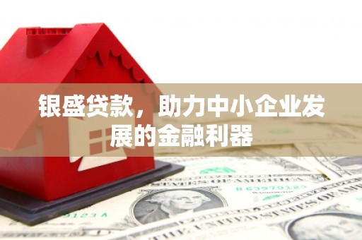 虾峙银盛贷款，助力中小企业发展的金融利器