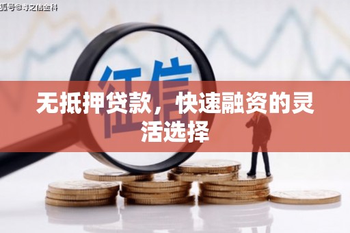虾峙无抵押贷款，快速融资的灵活选择