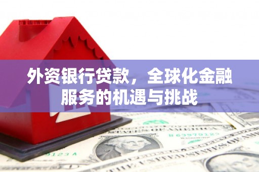 虾峙外资银行贷款，全球化金融服务的机遇与挑战