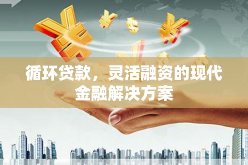 虾峙循环贷款，灵活融资的现代金融解决方案