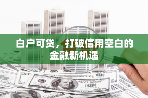 虾峙白户可贷，打破信用空白的金融新机遇