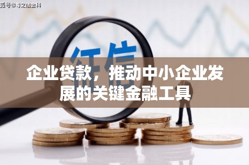 虾峙企业贷款，推动中小企业发展的关键金融工具