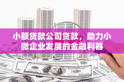 虾峙小额贷款公司贷款，助力小微企业发展的金融利器