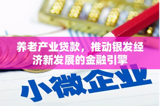 虾峙养老产业贷款，推动银发经济新发展的金融引擎