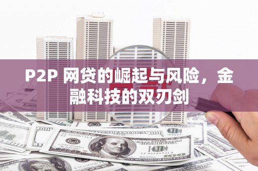 虾峙P2P 网贷的崛起与风险，金融科技的双刃剑