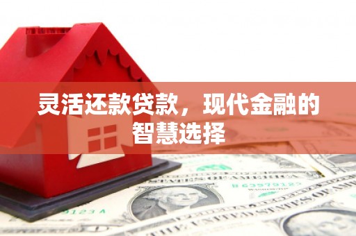 虾峙灵活还款贷款，现代金融的智慧选择