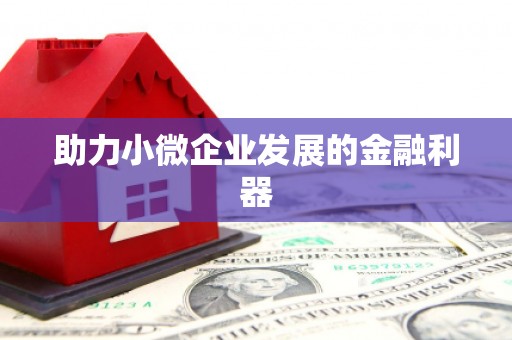 虾峙助力小微企业发展的金融利器