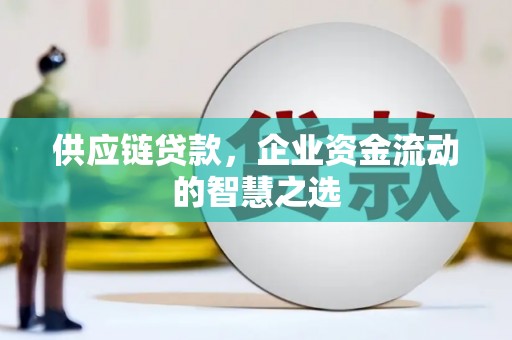 虾峙供应链贷款，企业资金流动的智慧之选