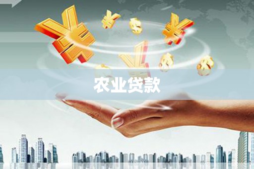 虾峙农业贷款