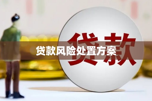 虾峙贷款风险处置方案
