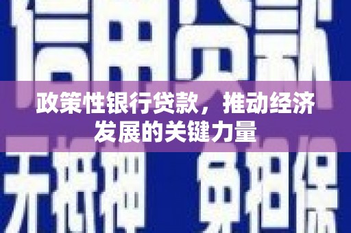 虾峙政策性银行贷款，推动经济发展的关键力量