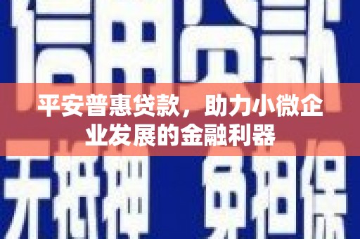 虾峙平安普惠贷款，助力小微企业发展的金融利器