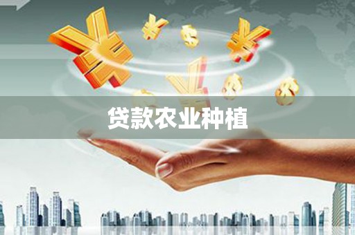 虾峙贷款农业种植