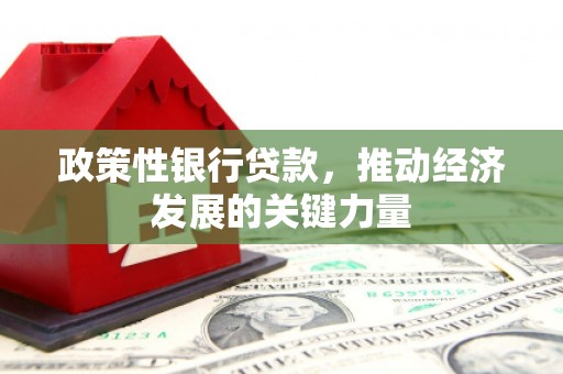 虾峙政策性银行贷款，推动经济发展的关键力量