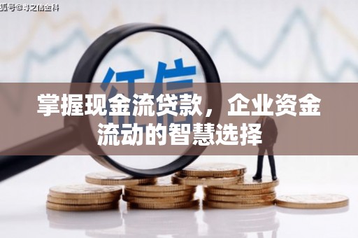 虾峙掌握现金流贷款，企业资金流动的智慧选择