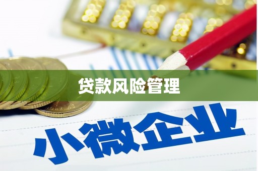 虾峙贷款风险管理