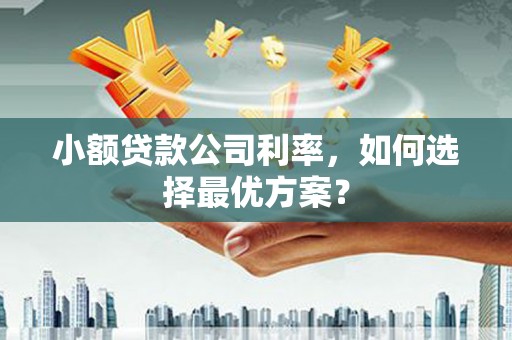 虾峙小额贷款公司利率，如何选择最优方案？