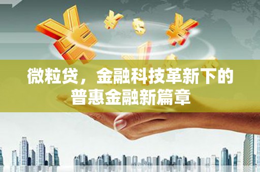 虾峙微粒贷，金融科技革新下的普惠金融新篇章