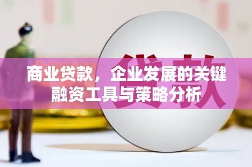 虾峙商业贷款，企业发展的关键融资工具与策略分析