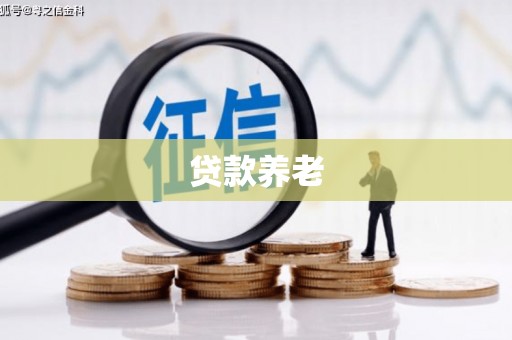 虾峙贷款养老