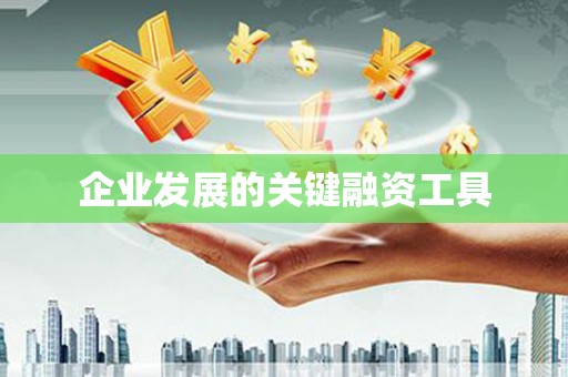 虾峙企业发展的关键融资工具