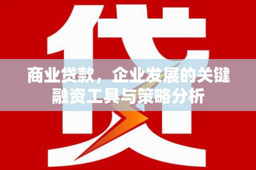 虾峙商业贷款，企业发展的关键融资工具与策略分析
