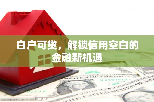 虾峙白户可贷，解锁信用空白的金融新机遇