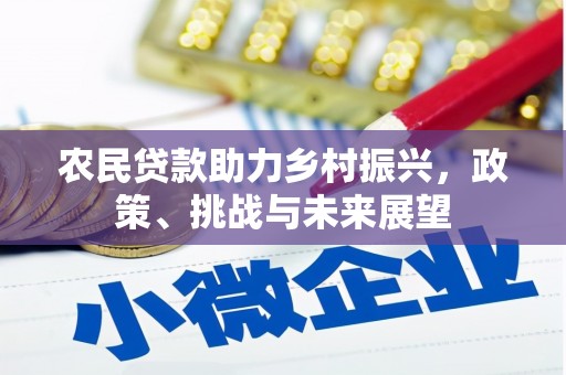 虾峙农民贷款助力乡村振兴，政策、挑战与未来展望