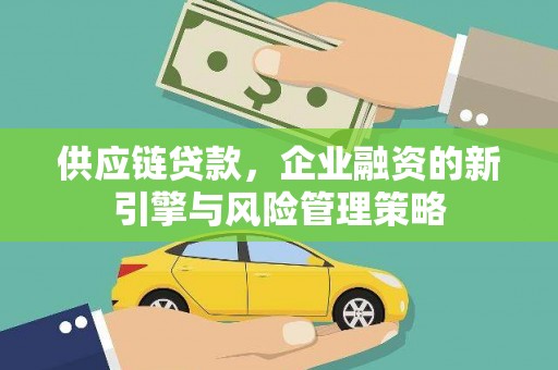 虾峙供应链贷款，企业融资的新引擎与风险管理策略