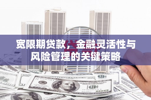 虾峙宽限期贷款，金融灵活性与风险管理的关键策略