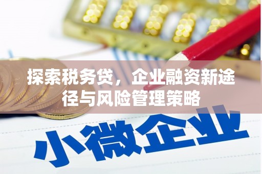 虾峙探索税务贷，企业融资新途径与风险管理策略