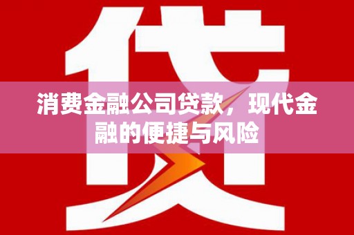 虾峙消费金融公司贷款，现代金融的便捷与风险