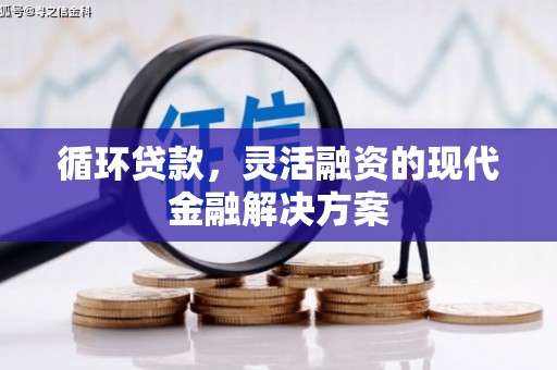 虾峙循环贷款，灵活融资的现代金融解决方案