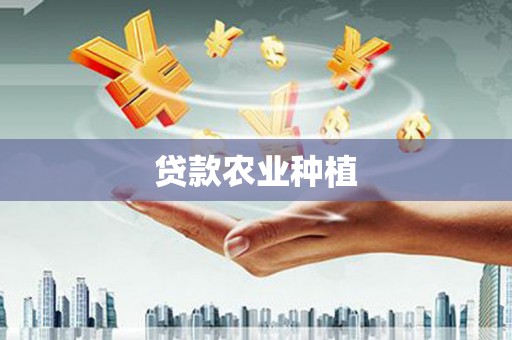 虾峙贷款农业种植