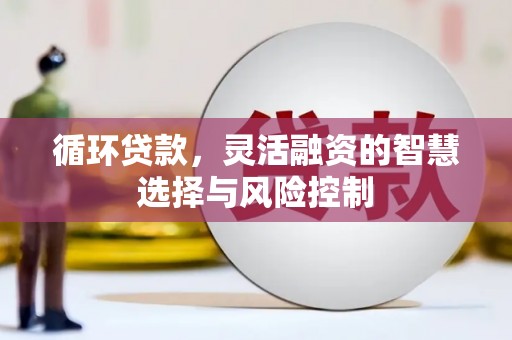 虾峙循环贷款，灵活融资的智慧选择与风险控制